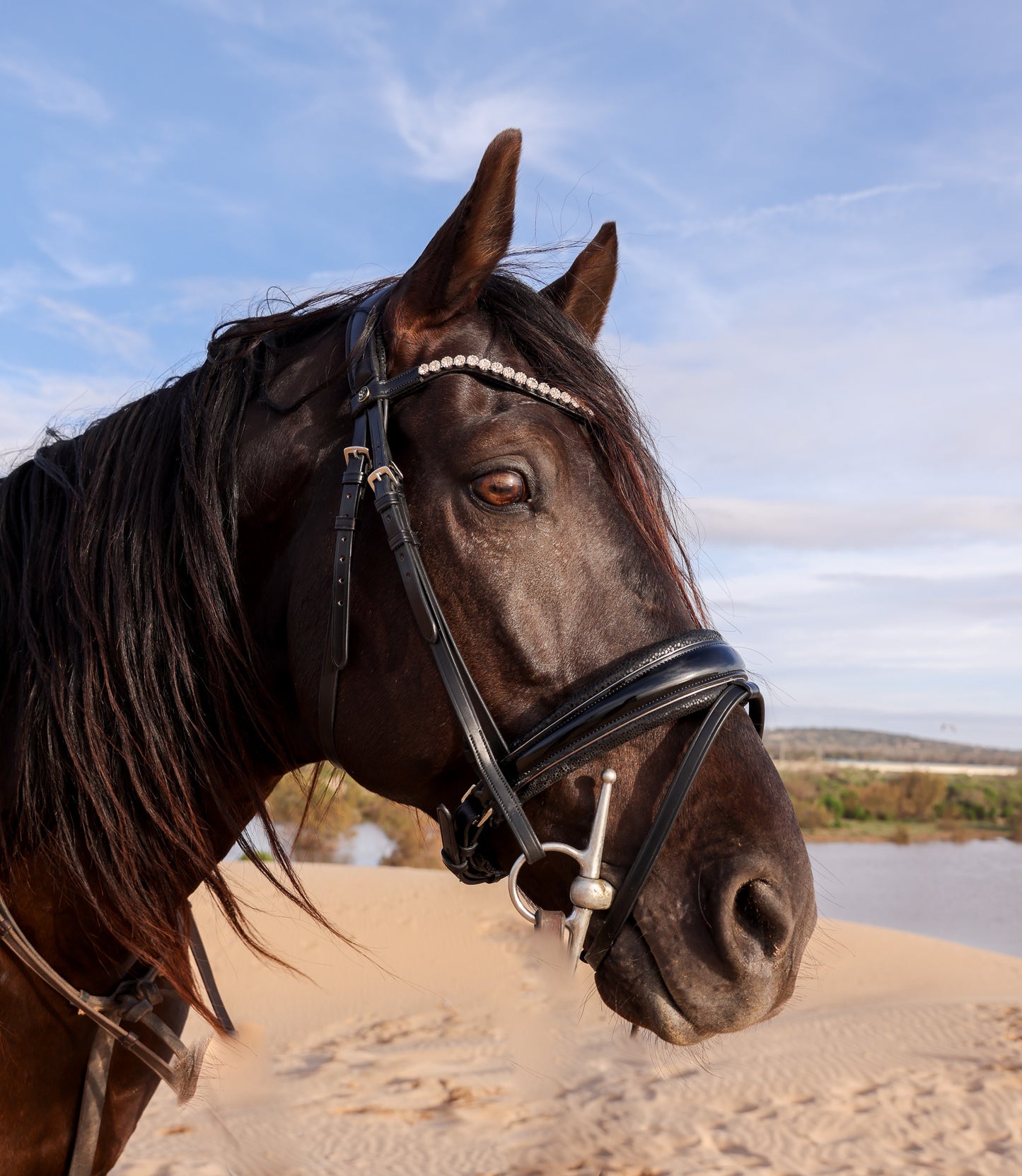 Desert Dust Waterdrop Bridle