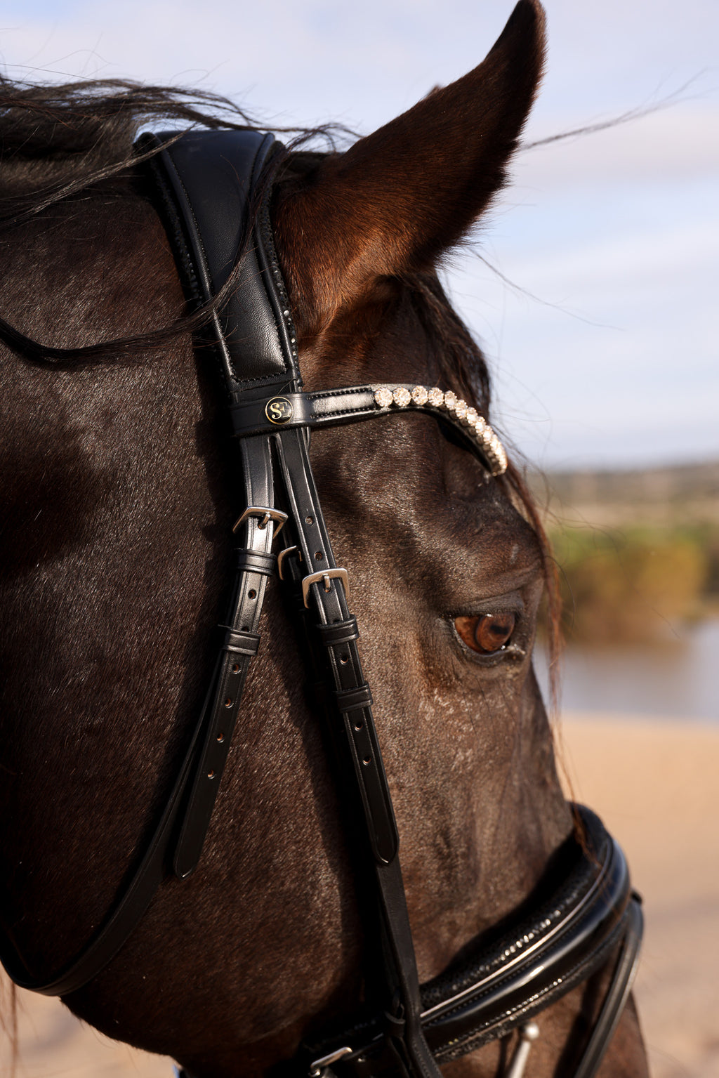Desert Dust Waterdrop bridle