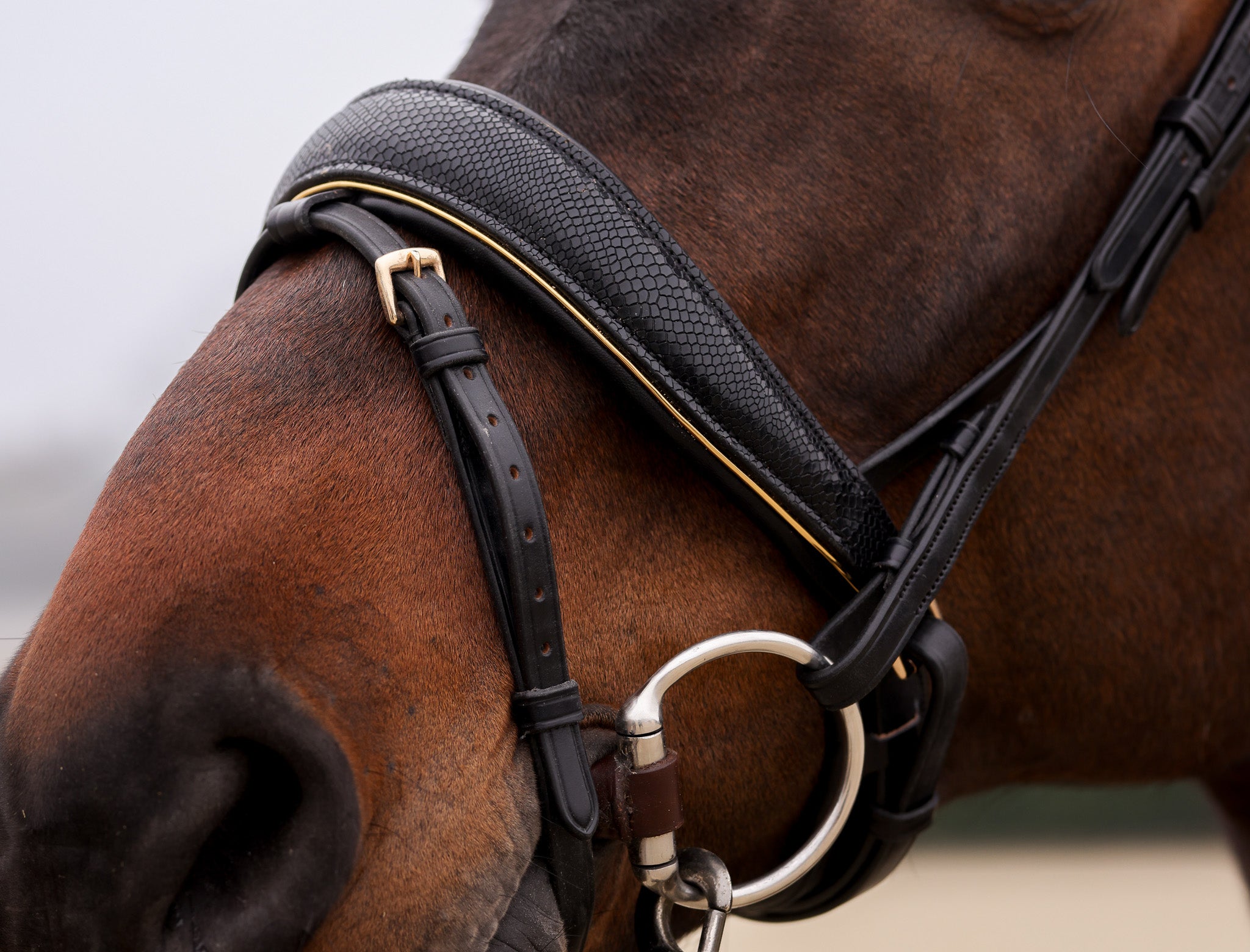 Desert Dust Snake bridle