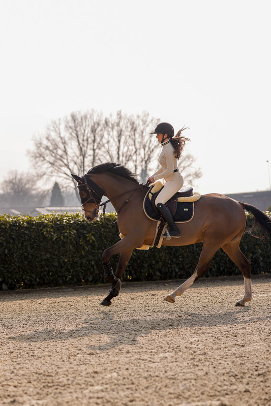 Desert Dust Black saddle pad jumping