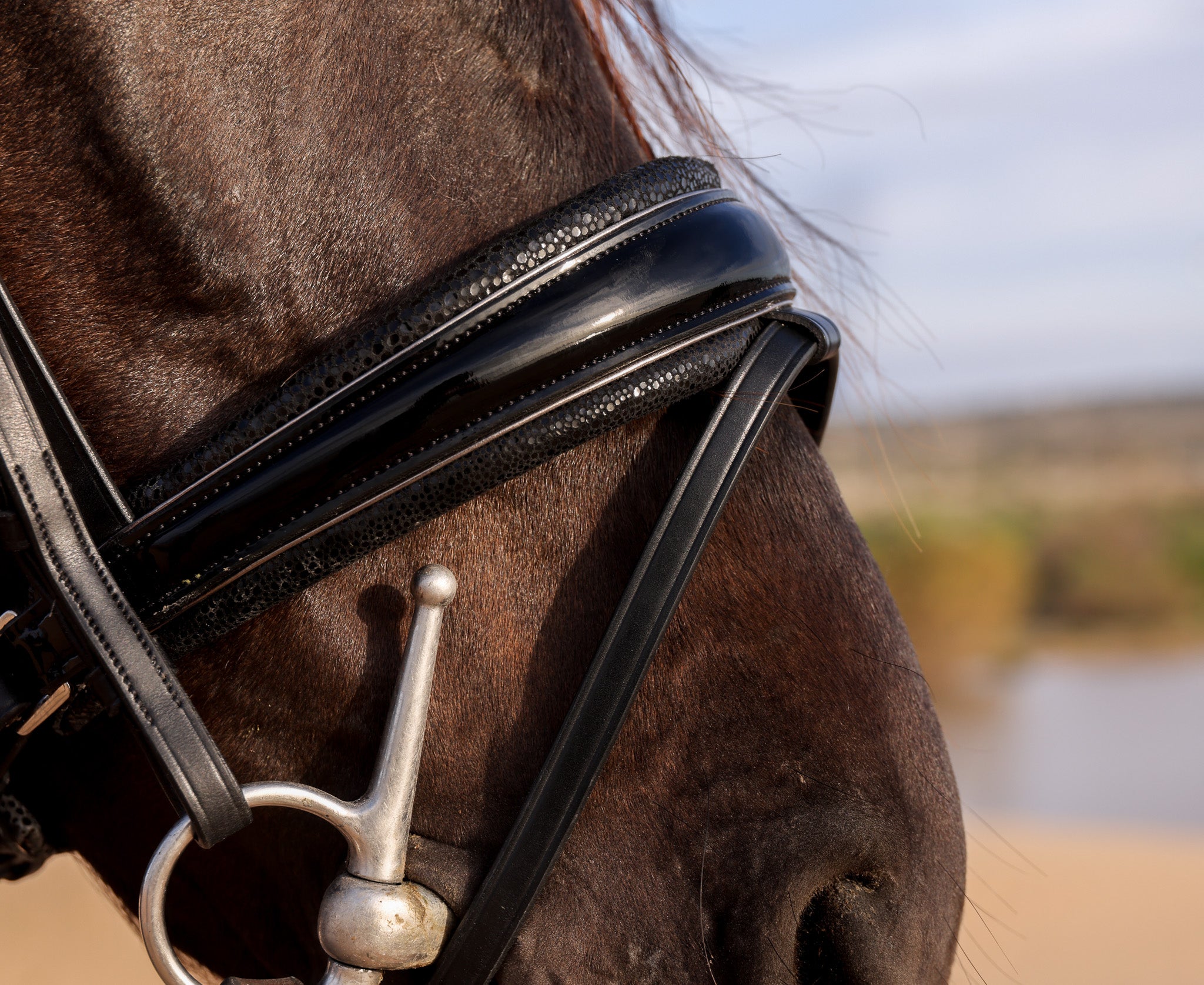 Desert Dust Waterdrop bridle